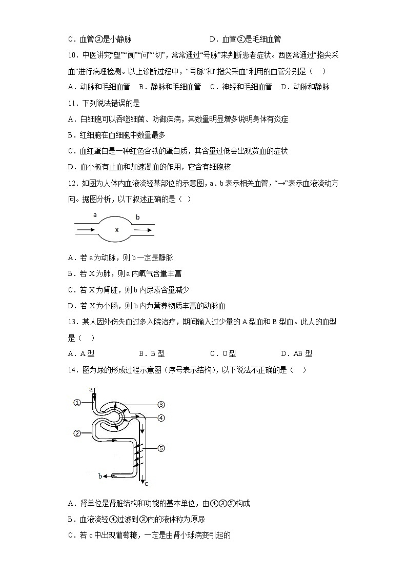 河南省三門峽市2021-2022學(xué)年七年級下學(xué)期期末生物試題(含答案)第3頁