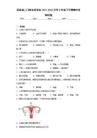 河南省三门峡市灵宝市2021-2022学年七年级下学期期中生物试题(含答案)