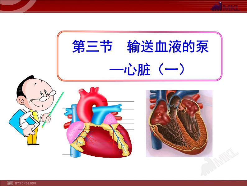 第四章第三节 输送血液的泵—心脏(一) 课件01