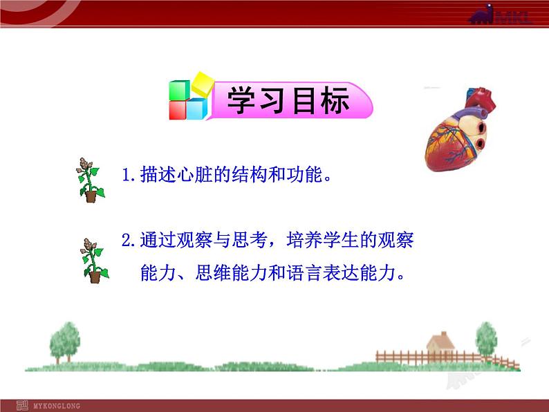第四章第三节 输送血液的泵—心脏(一) 课件03