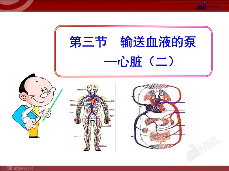 第四章第三节 输送血液的泵—心脏(二) 课件01