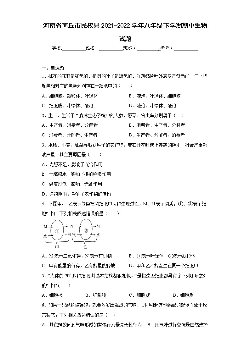 河南省商丘市民权县2021-2022学年八年级下学期期中生物试题(含答案)01