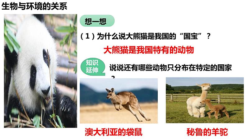 1.2.1 生物与环境的关系(第一课时)第3页
