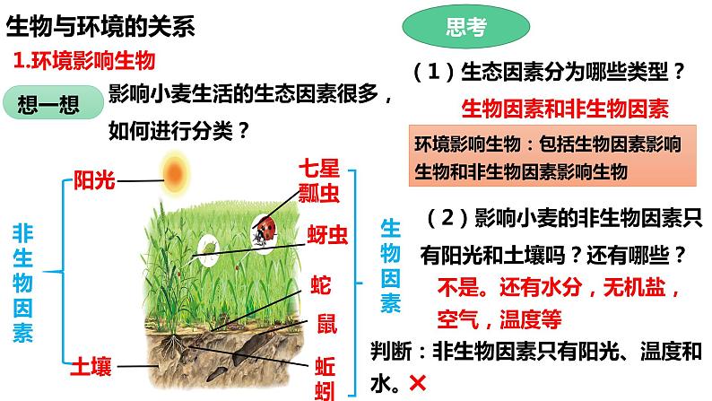 1.2.1 生物与环境的关系(第一课时)第6页
