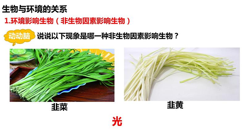 1.2.1 生物与环境的关系(第一课时)第7页