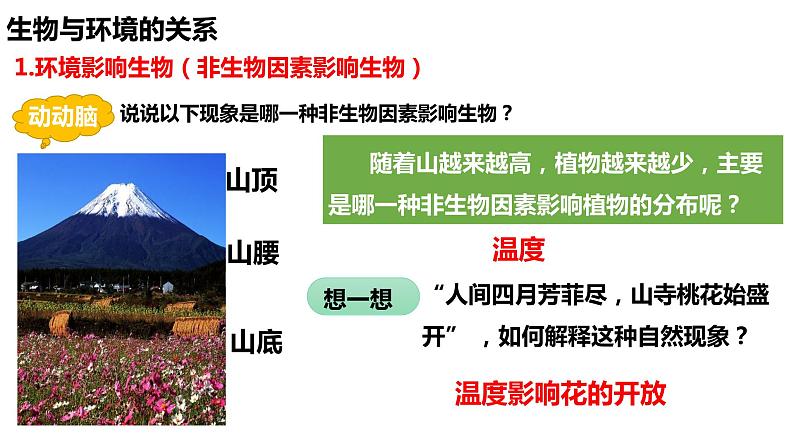 1.2.1 生物与环境的关系(第一课时)第8页