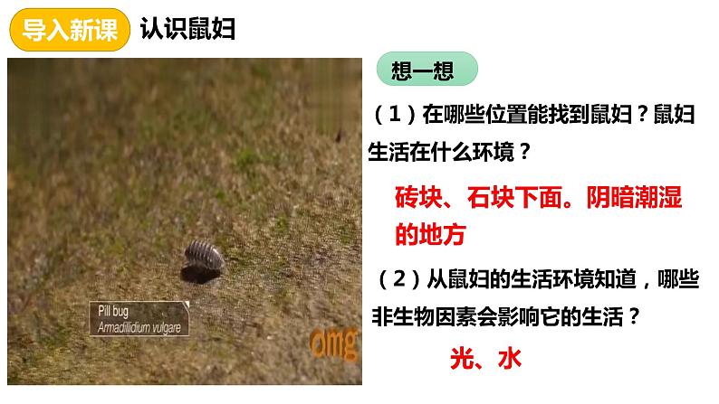 人教版《生物与环境的关系(第二课时)》PPT课件+视频02