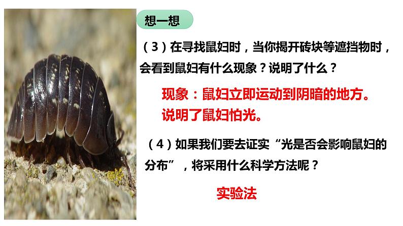 人教版《生物与环境的关系(第二课时)》PPT课件+视频03