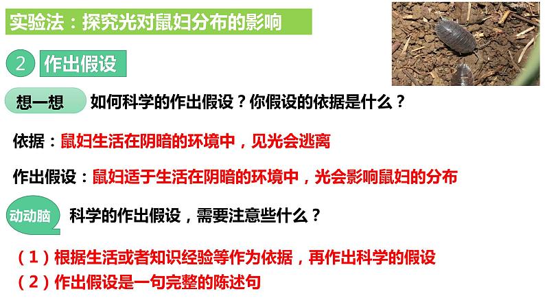 人教版《生物与环境的关系(第二课时)》PPT课件+视频06