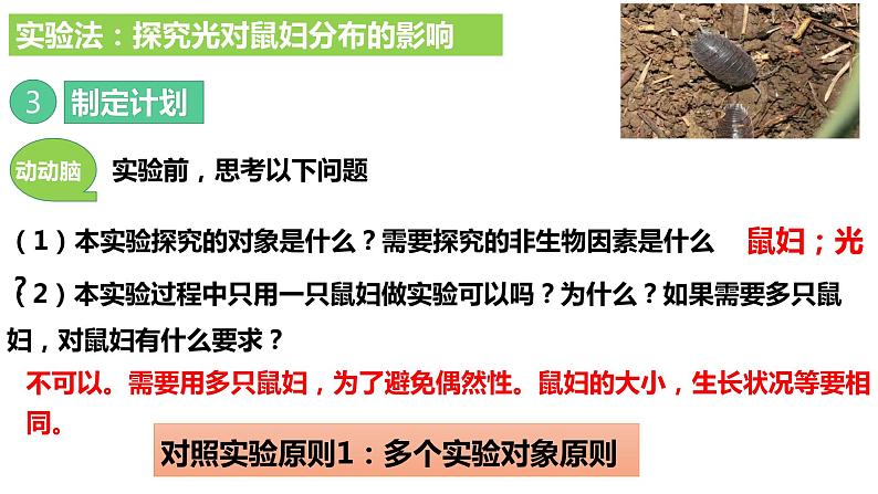 人教版《生物与环境的关系(第二课时)》PPT课件+视频07