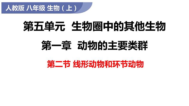 5.1.2 线形动物和环节动物第1页