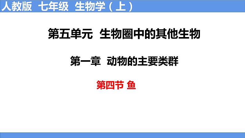 5.1.4 鱼第1页