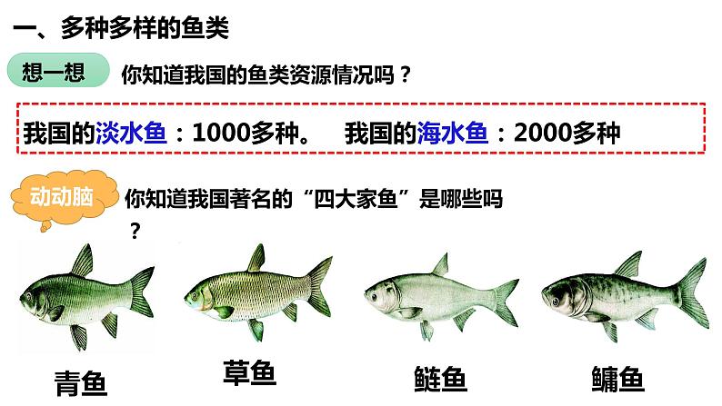 5.1.4 鱼第6页