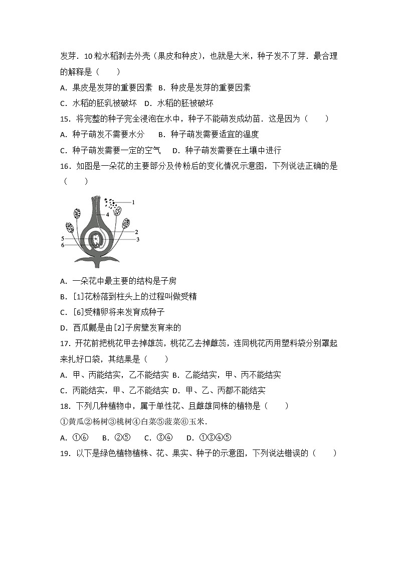 第三单元生物圈中的绿色植物检测题 2022-2023学年人教版生物七年级上册(含答案)03