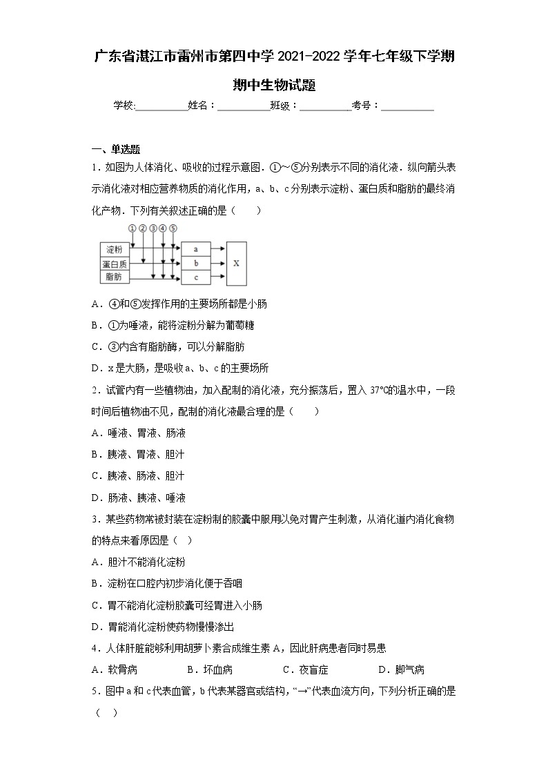 广东省湛江市雷州市第四中学2021-2022学年七年级下学期期中生物试题(含答案)01