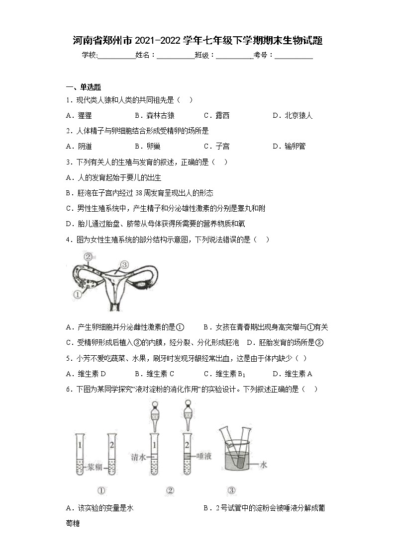 河南省郑州市2021-2022学年七年级下学期期末生物试题(含答案)01
