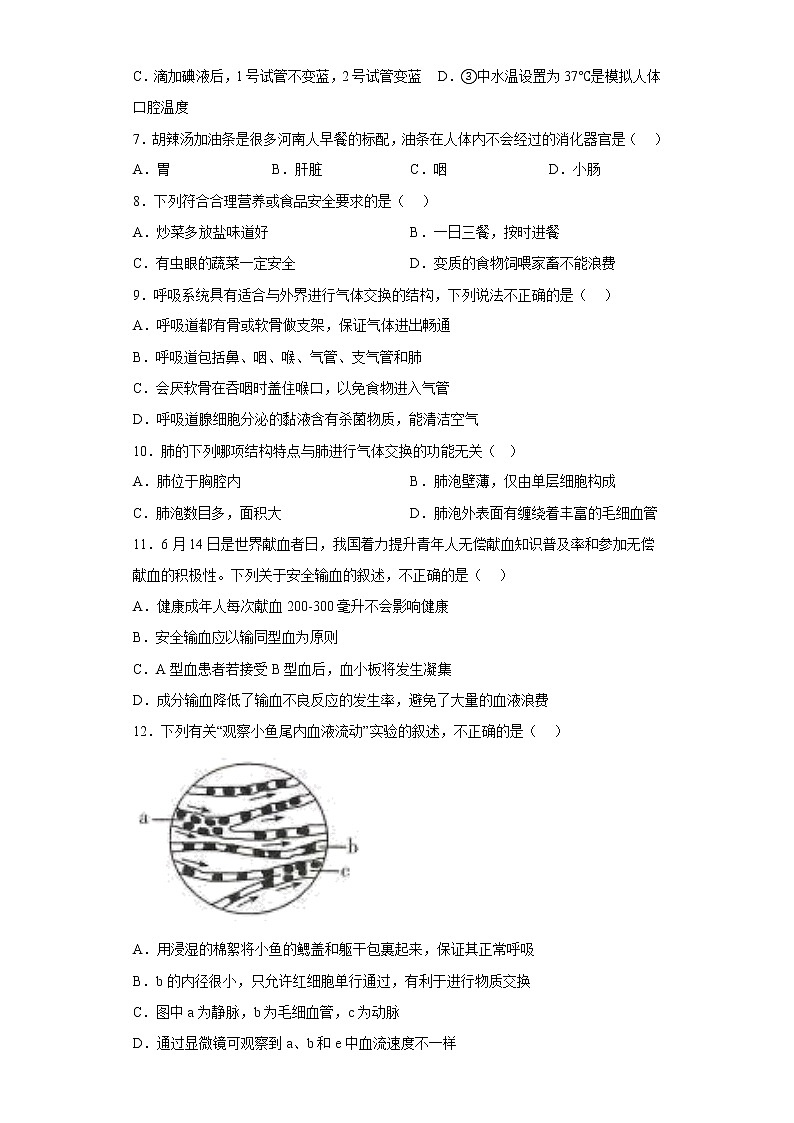 河南省郑州市2021-2022学年七年级下学期期末生物试题(含答案)02