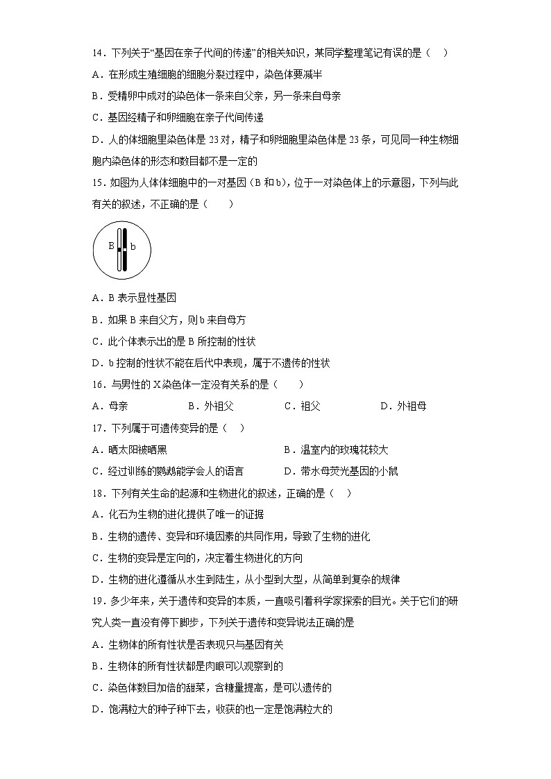江西省抚州市乐安县2021-2022学年八年级下学期期中生物试题(含答案)第3页