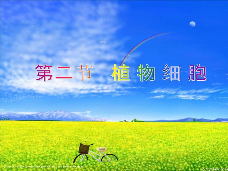 人教版七年级上册生物学--2.1.2植物细胞(课件)01
