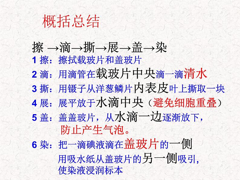 人教版七年级上册生物学--2.1.2植物细胞(课件)08