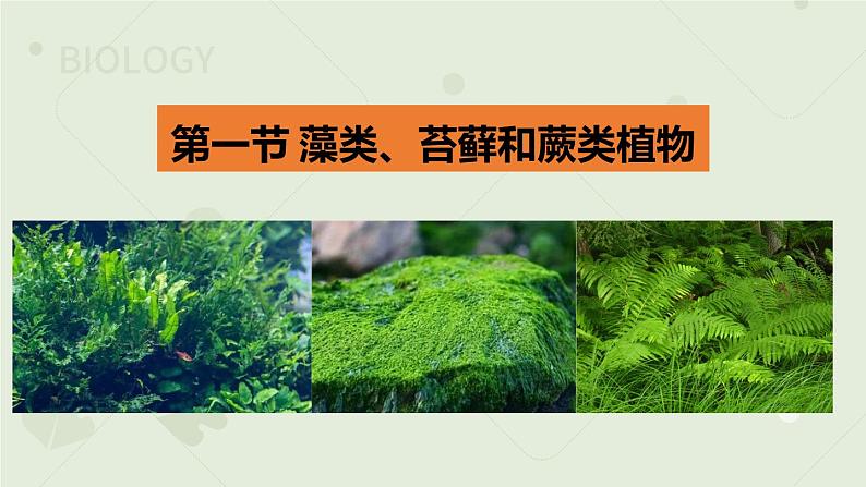 人教版七年级上册生物学--3.1.1藻类、苔藓和蕨类植物(课件)01