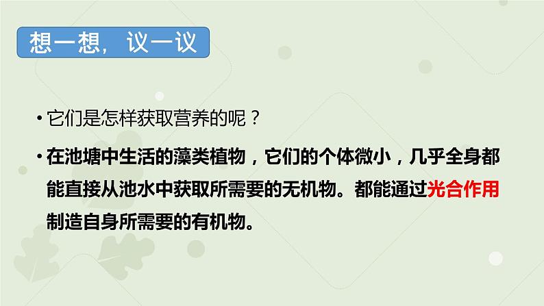 人教版七年级上册生物学--3.1.1藻类、苔藓和蕨类植物(课件)07