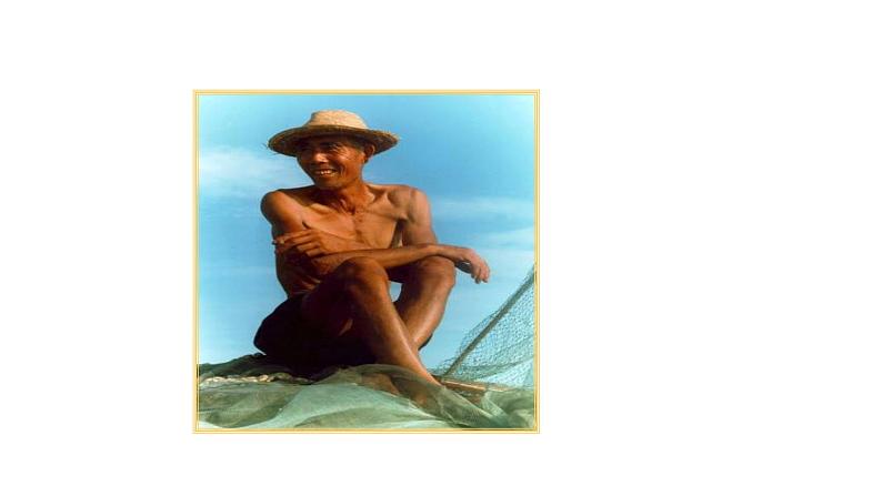 人教版七年级上册生物学--第二单元第二章2.2.2动物体的结构层次 课件03