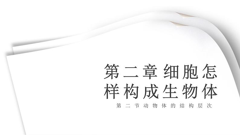 人教版七年级上册生物学--第二单元第二章2.2.2动物体的结构层次 课件04