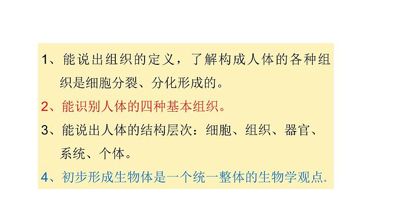 人教版七年级上册生物学--第二单元第二章2.2.2动物体的结构层次 课件05