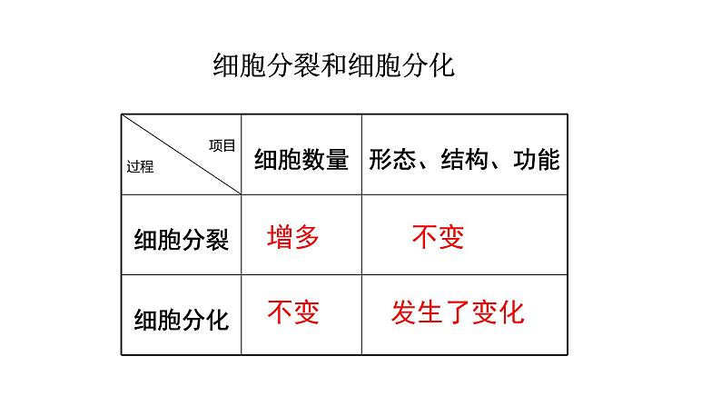 人教版七年级上册生物学--第二单元第二章2.2.2动物体的结构层次 课件08