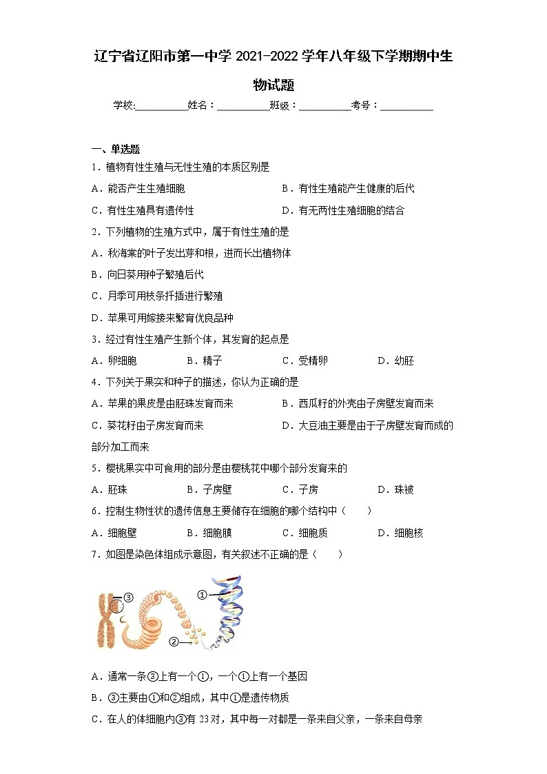 辽宁省辽阳市第一中学2021-2022学年八年级下学期期中生物试题(含答案)01