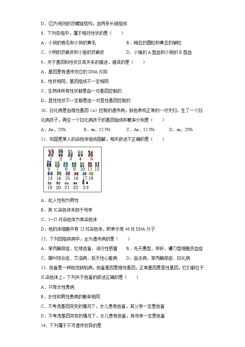 辽宁省辽阳市第一中学2021-2022学年八年级下学期期中生物试题(含答案)02