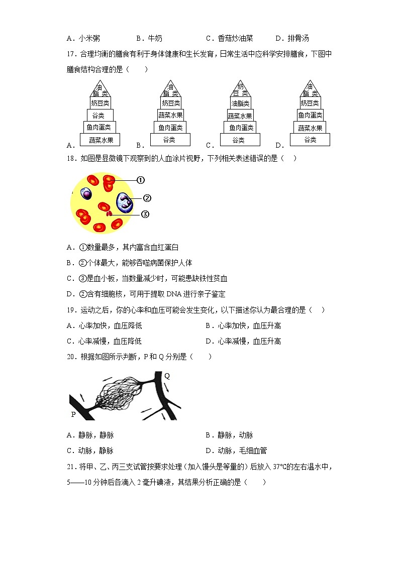 安徽省合肥市包河区2021-2022学年七年级下学期期中生物试题(含答案)第3页