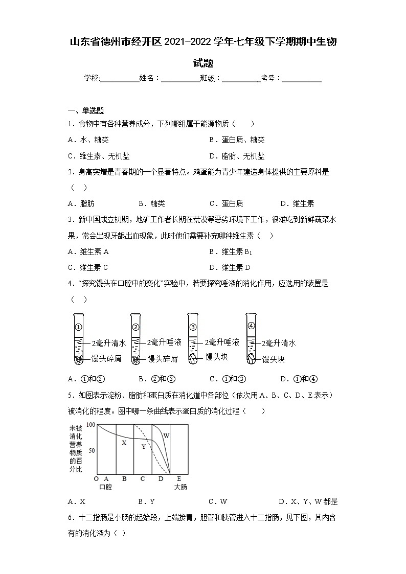 山东省德州市经开区2021-2022学年七年级下学期期中生物试题(含答案)第1页