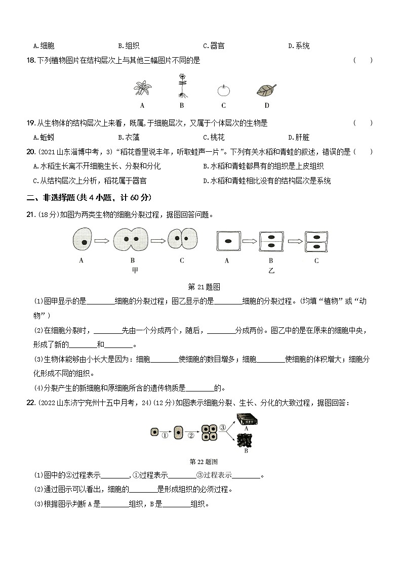 第二单元第二章素养提优测试···七年级生物上册期中期末考前复习自测卷第3页