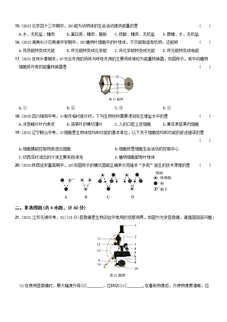 第二單元第一章素養(yǎng)基礎(chǔ)測試···七年級生物上冊期中期末考前復(fù)習(xí)自測卷第3頁