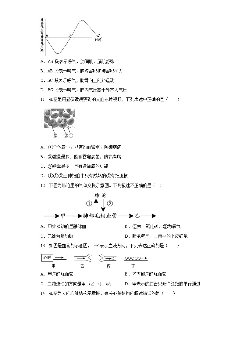 山东省菏泽市定陶区2021-2022学年七年级下学期期中生物试题(含答案)03