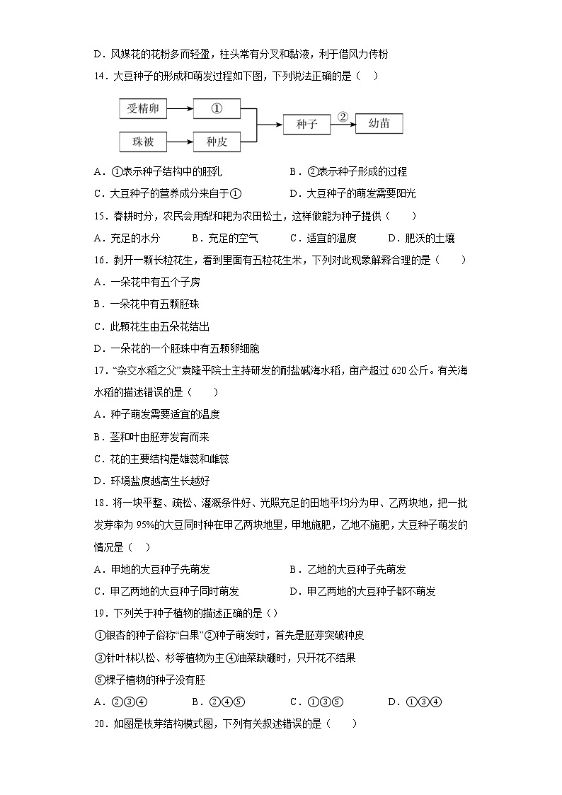 山东省威海乳山市（五四制）2021-2022学年六年级下学期期中生物试题(含答案)03