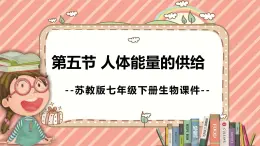 10.5人体能量的供给苏教版生物学七年级下册课件