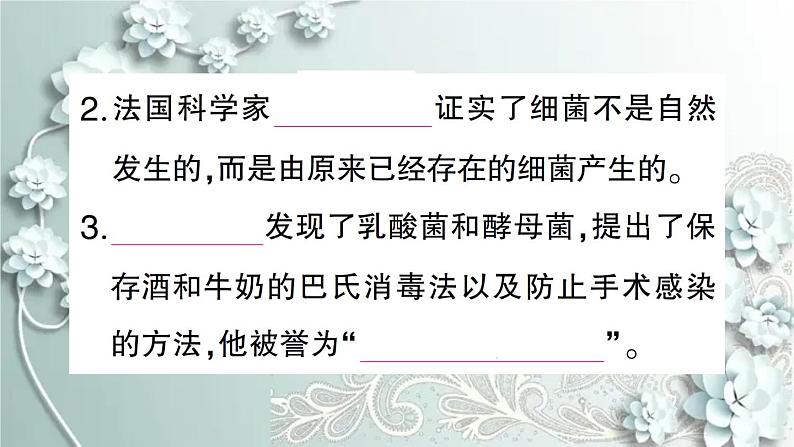人教版生物八年级上册 第二节 细菌 课件第3页
