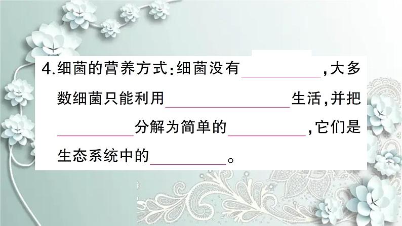 人教版生物八年级上册 第二节 细菌 课件第6页