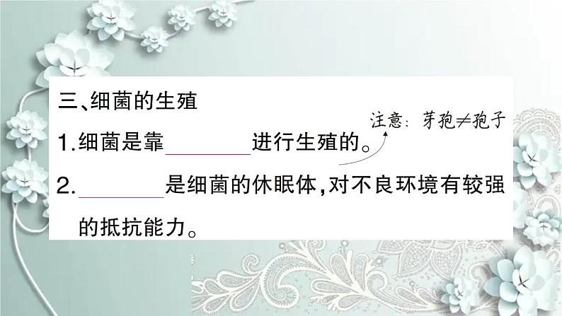 人教版生物八年级上册 第二节 细菌 课件第7页