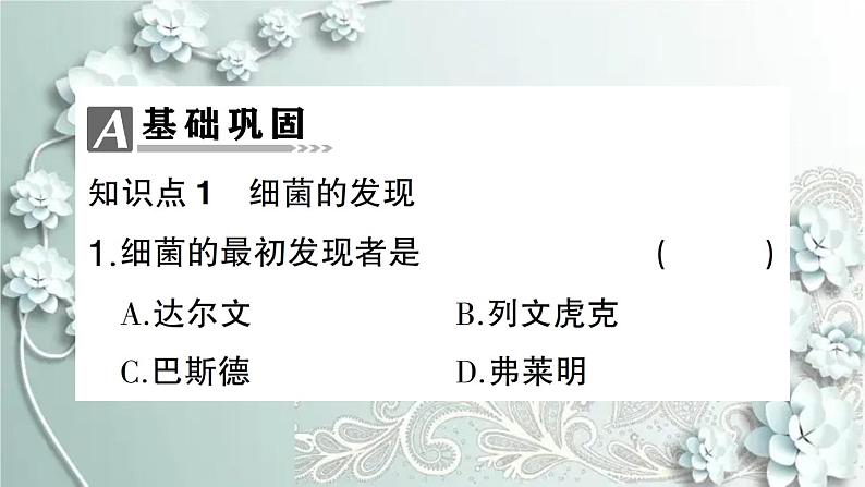 人教版生物八年级上册 第二节 细菌 课件第8页
