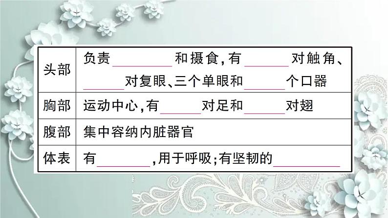 人教版生物八年级上册 第三节 软体动物和节肢动物 课件06