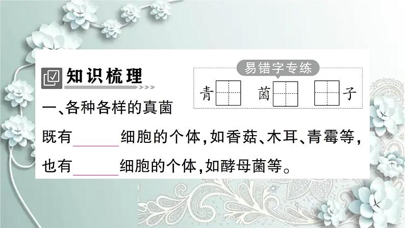 人教版生物八年级上册 第三节 真菌 课件第2页