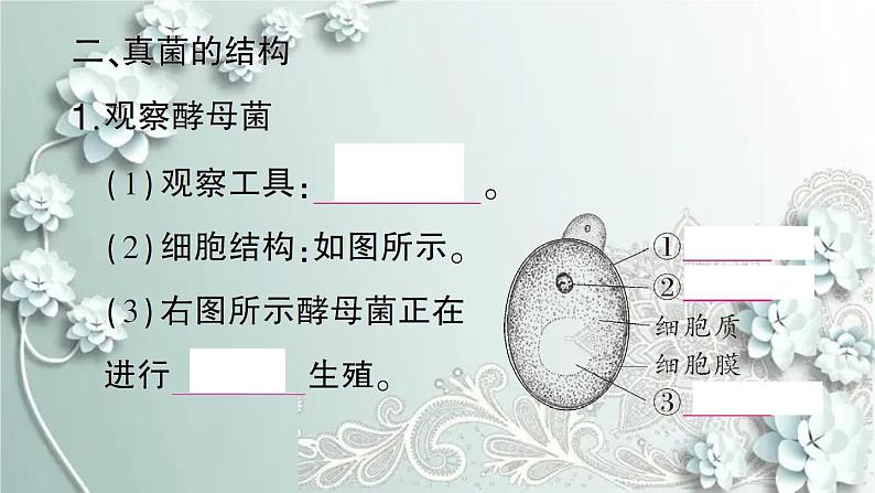 人教版生物八年级上册 第三节 真菌 课件第3页