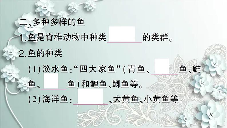 人教版生物八年级上册 第四节 鱼 课件第3页