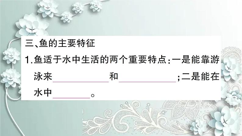 人教版生物八年级上册 第四节 鱼 课件第5页