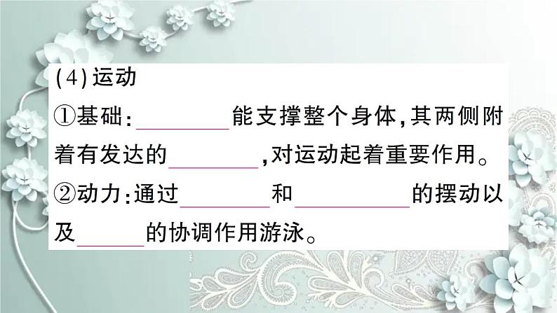 人教版生物八年级上册 第四节 鱼 课件第8页