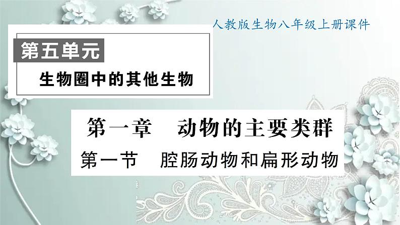 人教版生物八年级上册 第一节 腔肠动物和扁形动物 课件01